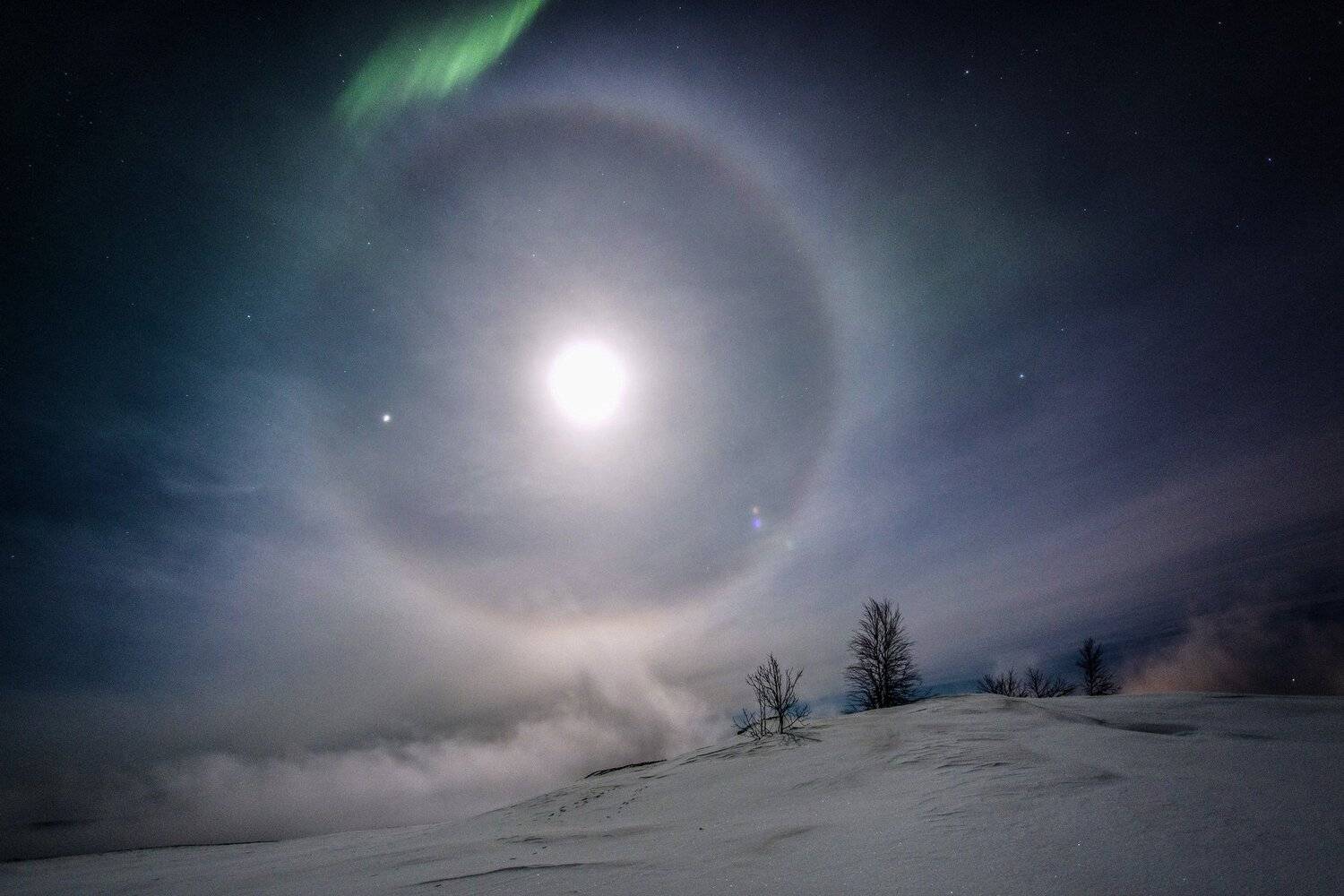 Печора, Анатолий