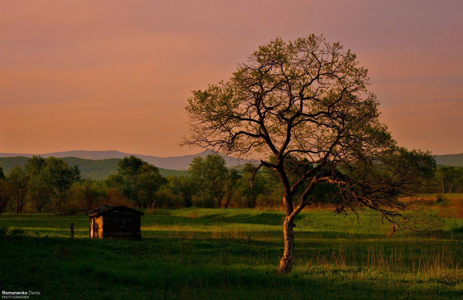 , Романенко Денис