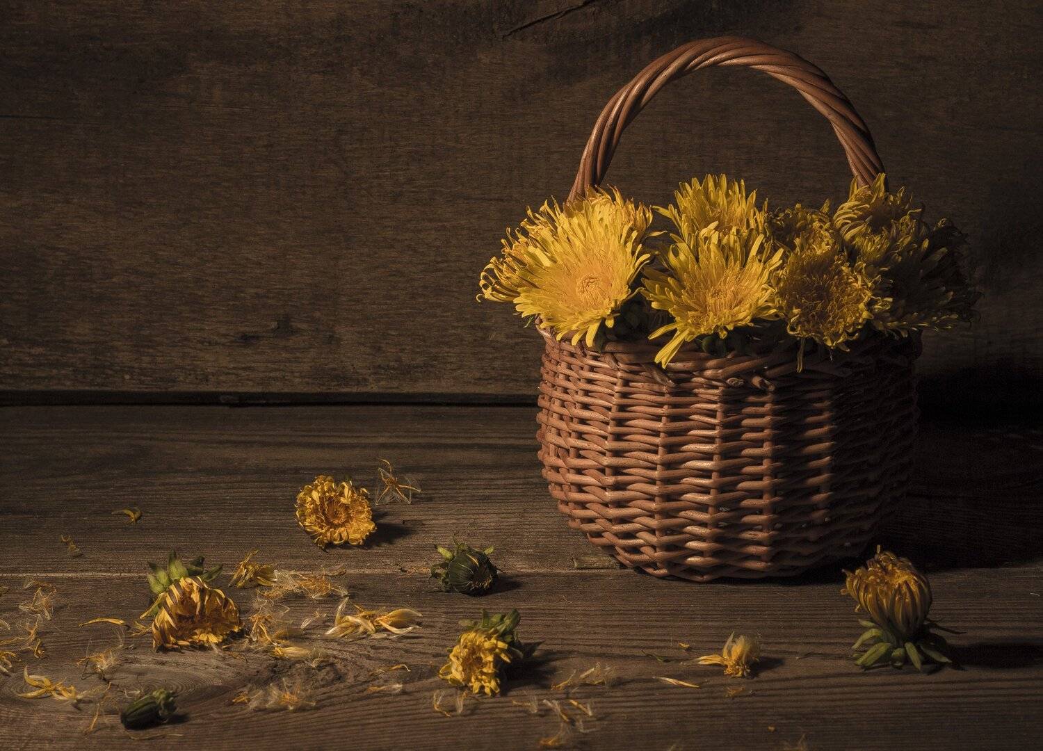 Букет, Весна, Желтый, Корзинка, Натюрморт, Одуванчики, Плетенная, Свет, Солнечный, Солнце, Тепло, Цветы, Наталья Бочкарева