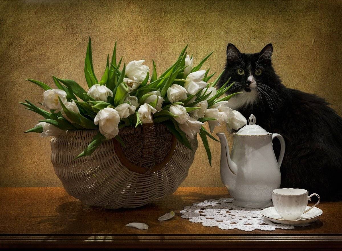 , Natalya P.