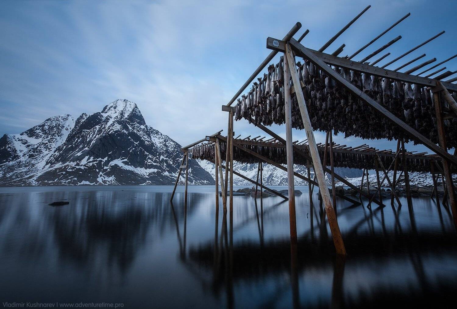 , Vladimir Kushnarev