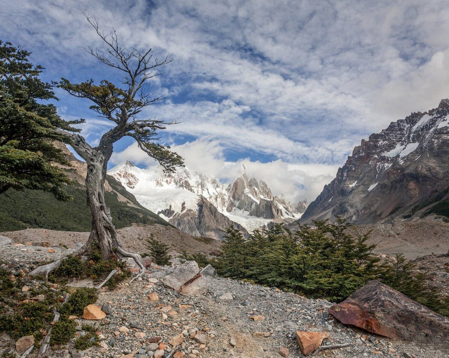 , Виктор Белименко
