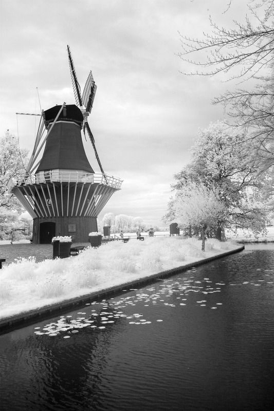 Инфракрасная фотография, Кекенхоф, мельница, канал, вода, тюльпаны, ir Кекенхоф фото превью