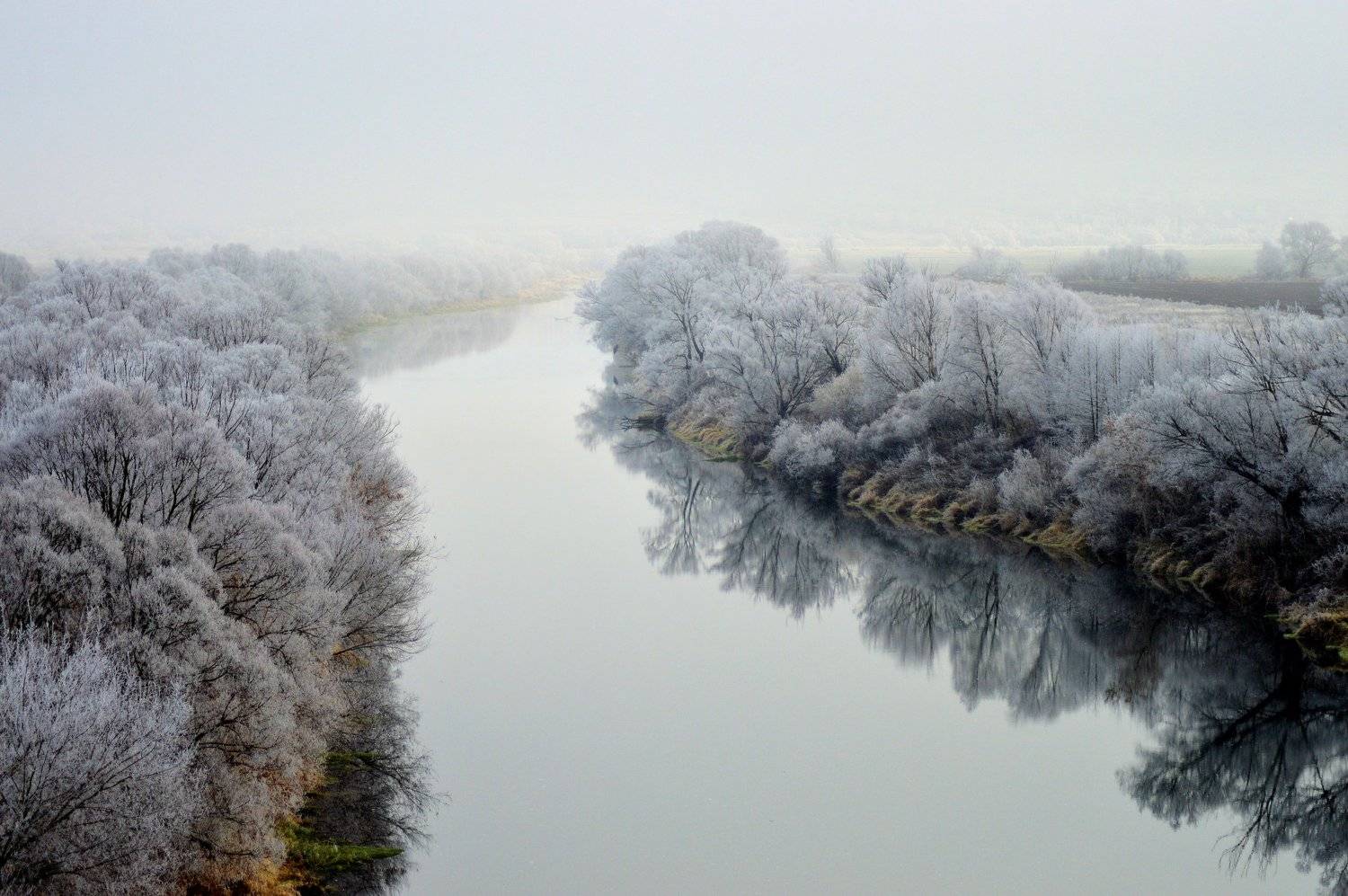 , Светлана Рослякова