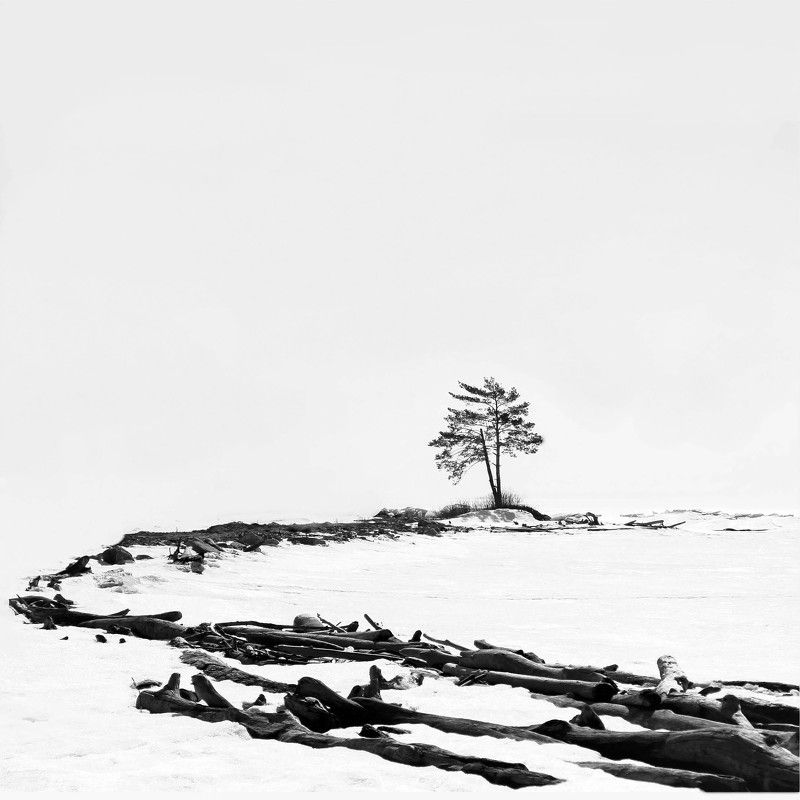 Весна в Сибири... фото превью