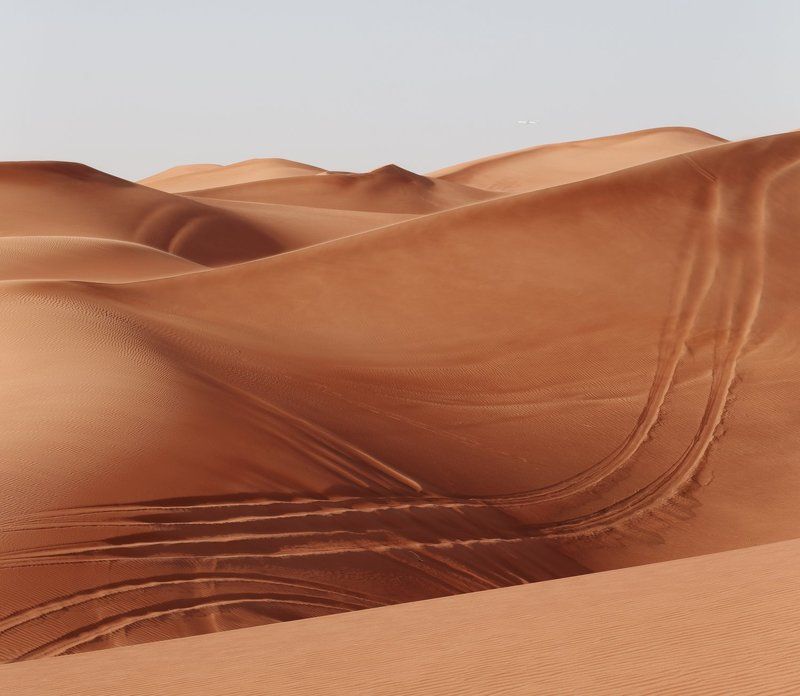 Анатомия, Дорога, Пустыня Анатомия пустыни фото превью