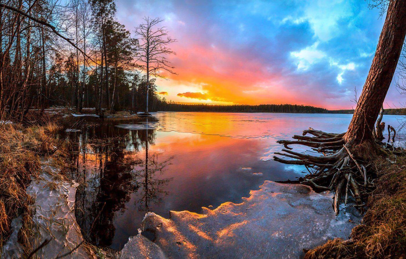 Весна, Закат, Лёд, Озеро, Сосна, Лашков Фёдор