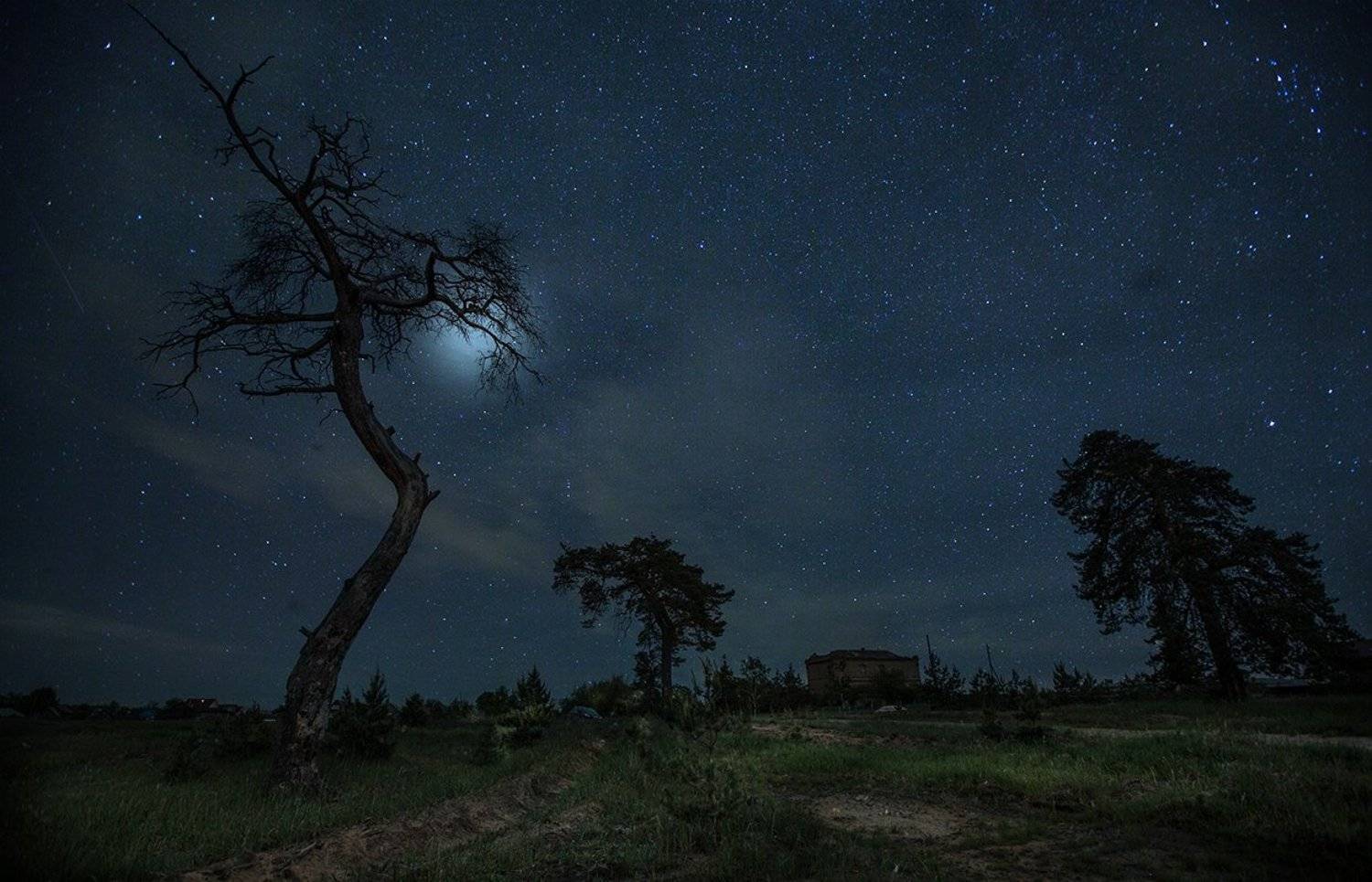 Сельцы, ночь, двойная экспозиция, Владимир Верендеев