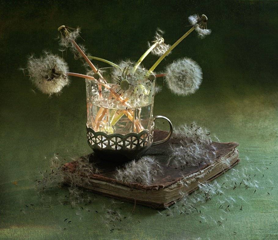 , Марина Володько