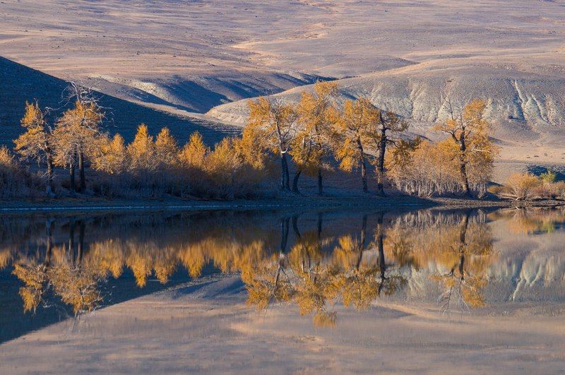 природа, озеро, алтай, кош-агач, красногорское, зеркало, отражение Зазеркалье озера Красногорское. фото превью