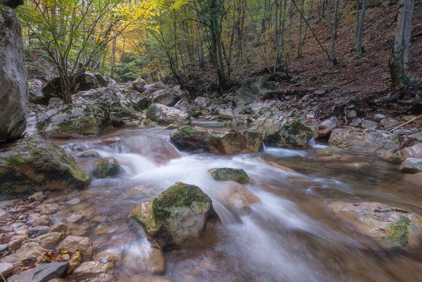 Лес, Осень, Природа, Река, Dmitriy  Baginskiy