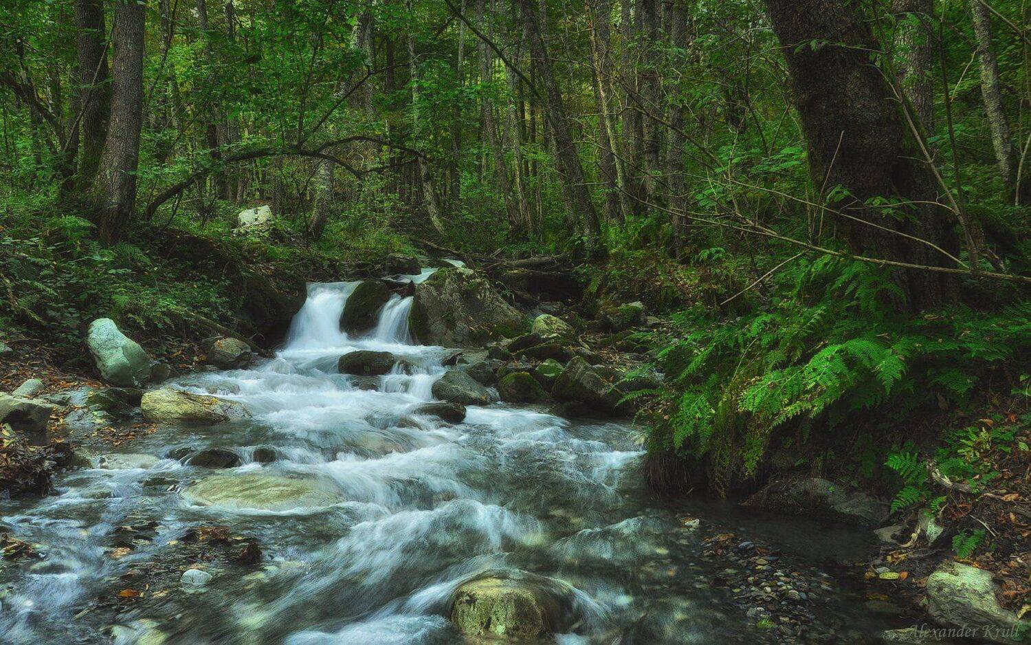 кавказ, красная поляна, Александр Круль