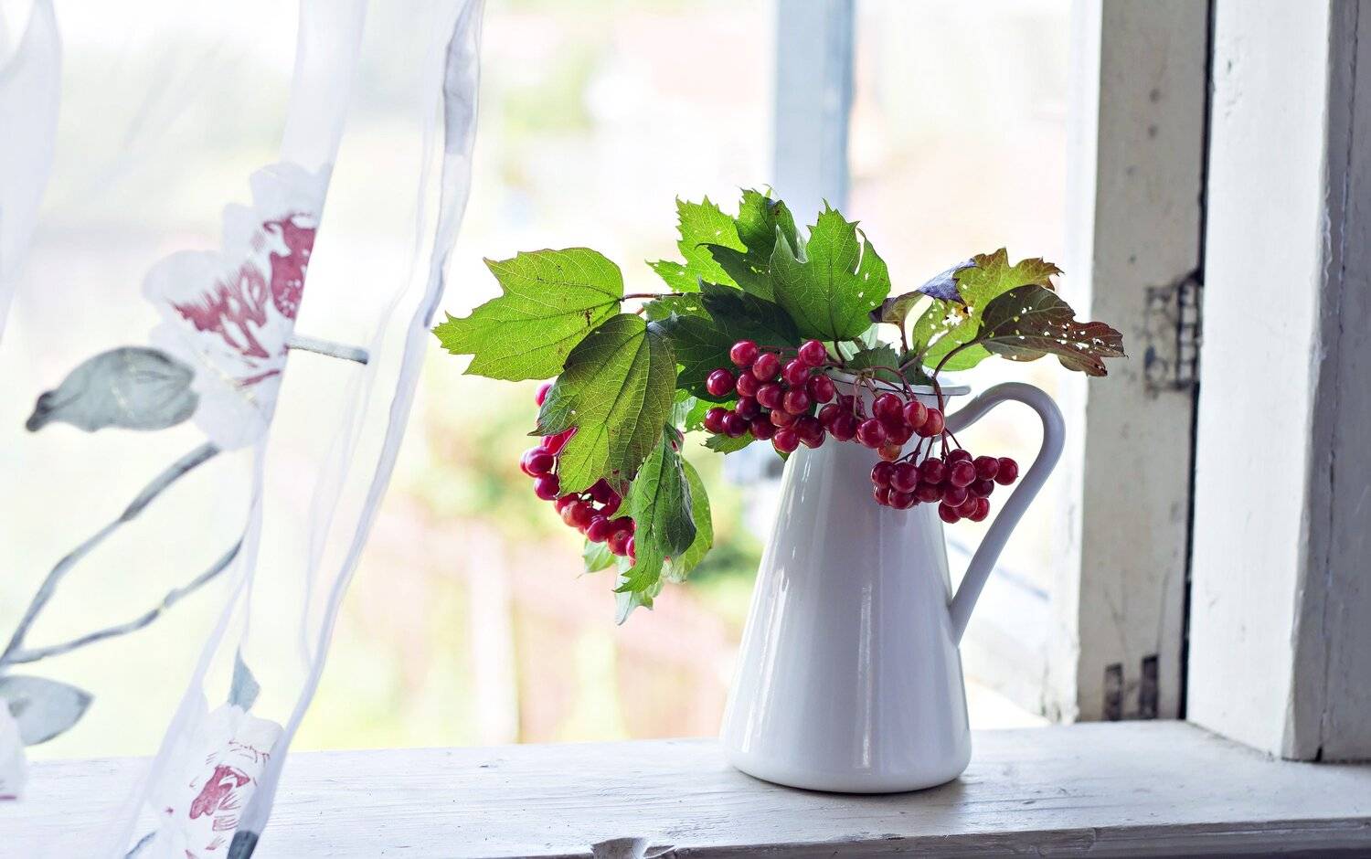 Белый, Ветки, Дача, Деревня, Зеленый, Калина, Красная, Кувшин, Лето, Листья, Окно, Утро, Наталья Бочкарева