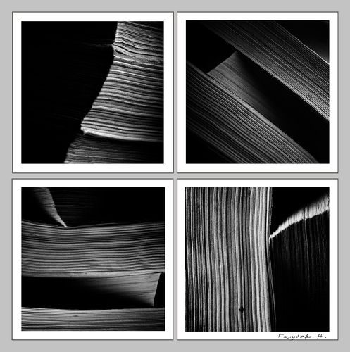 книги и тени