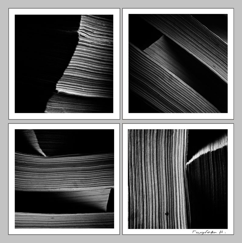 Книга, Книги, Крупный план, Свет, Тени, Черно-белая фотография книги и тени фото превью