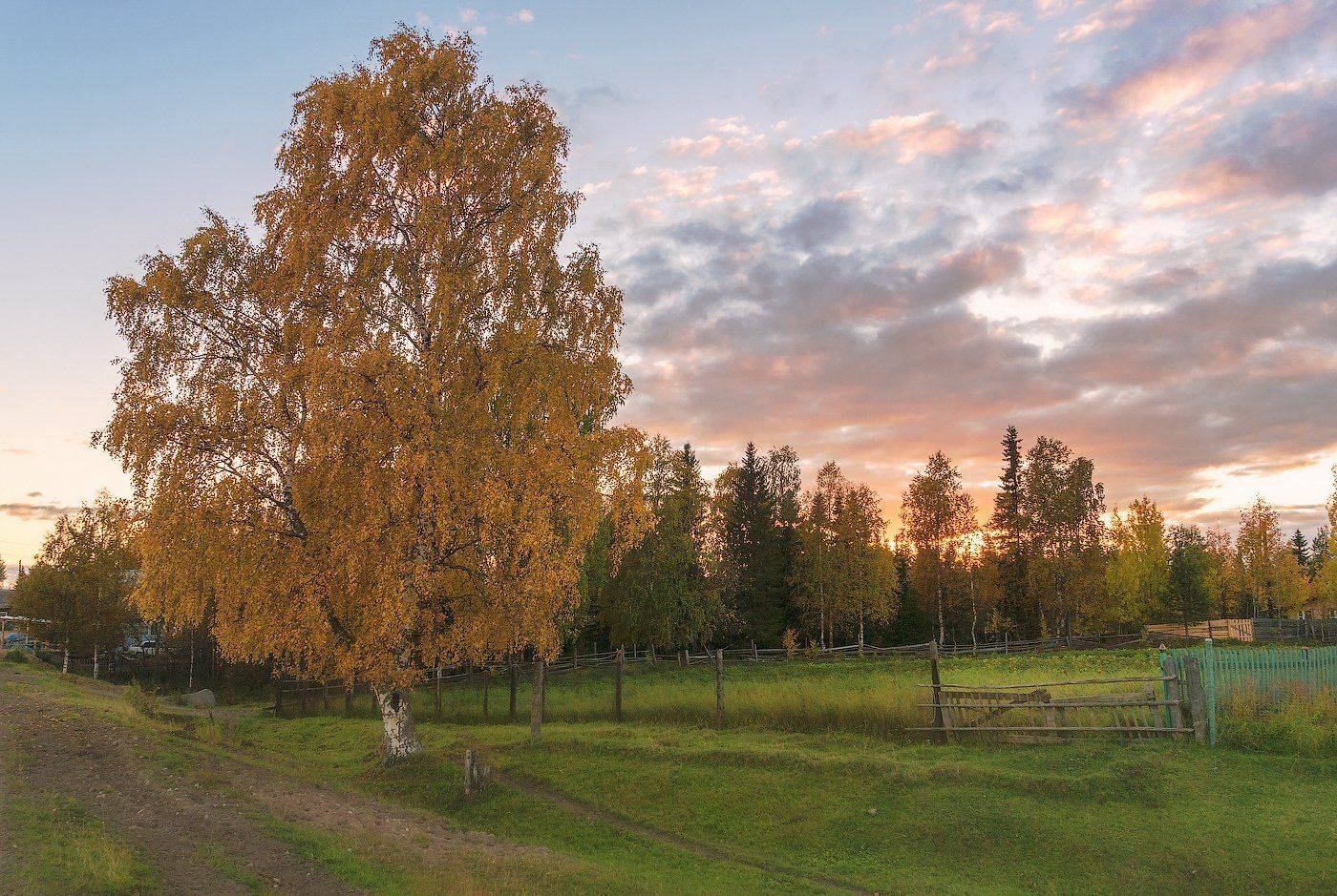 Бызовая, Деревня, Коми, Печора, Север, Игорь Подобаев