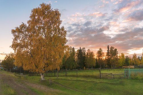 Вечер лета