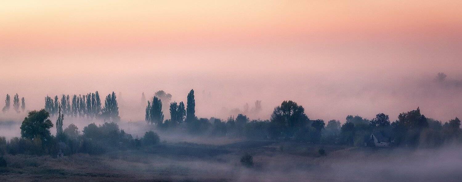 , Игорь Мелекесцев