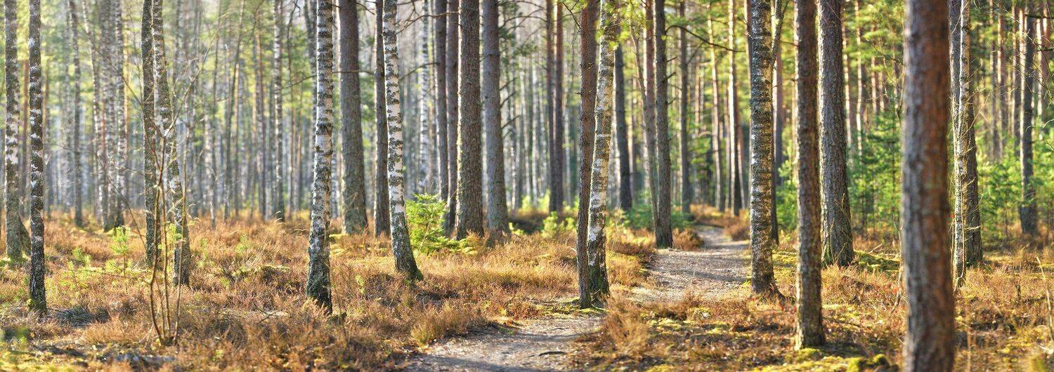 nikon landscape, Алексей Мельситов