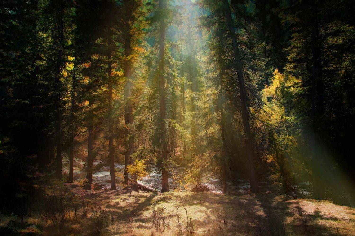 Алтай, Художников Павел