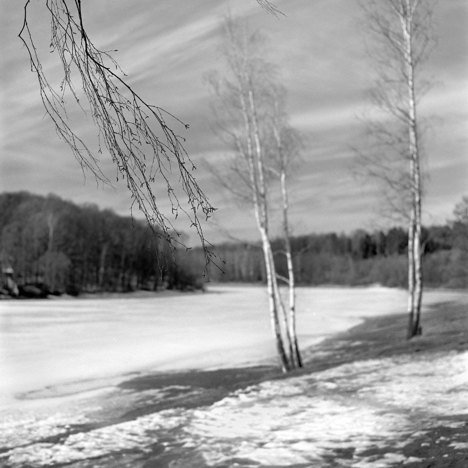 Весна., Пейзаж., Солнце., Александр Резников