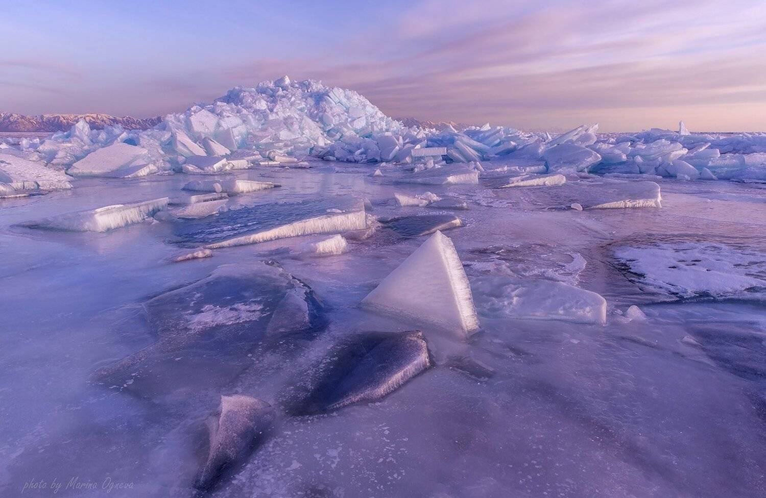 , Марина Огнева