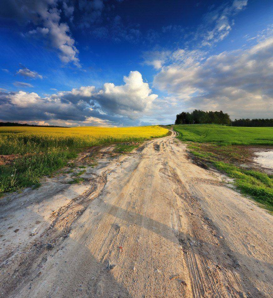 Беларусь, Весна, Май, Минск и окрестности, Вейзе Максим