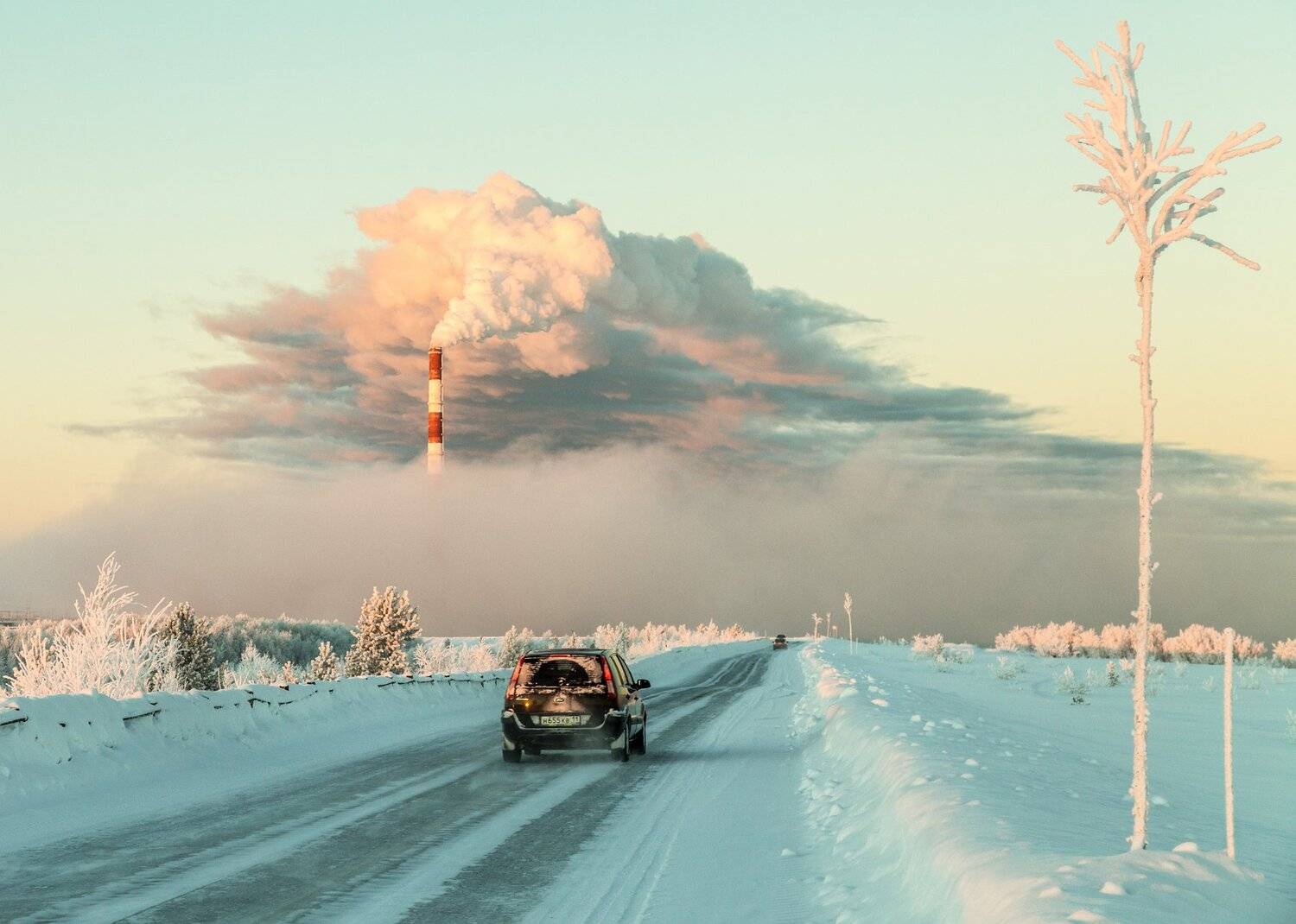 Печора, Анатолий