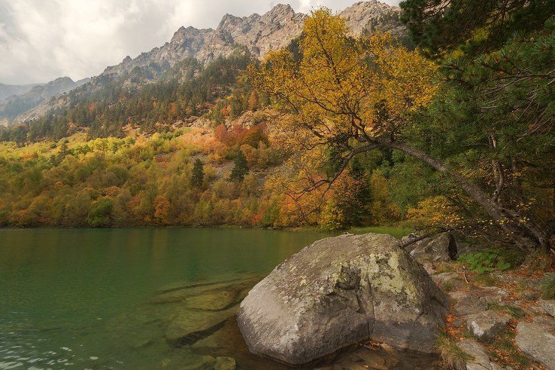 Бадук фото превью