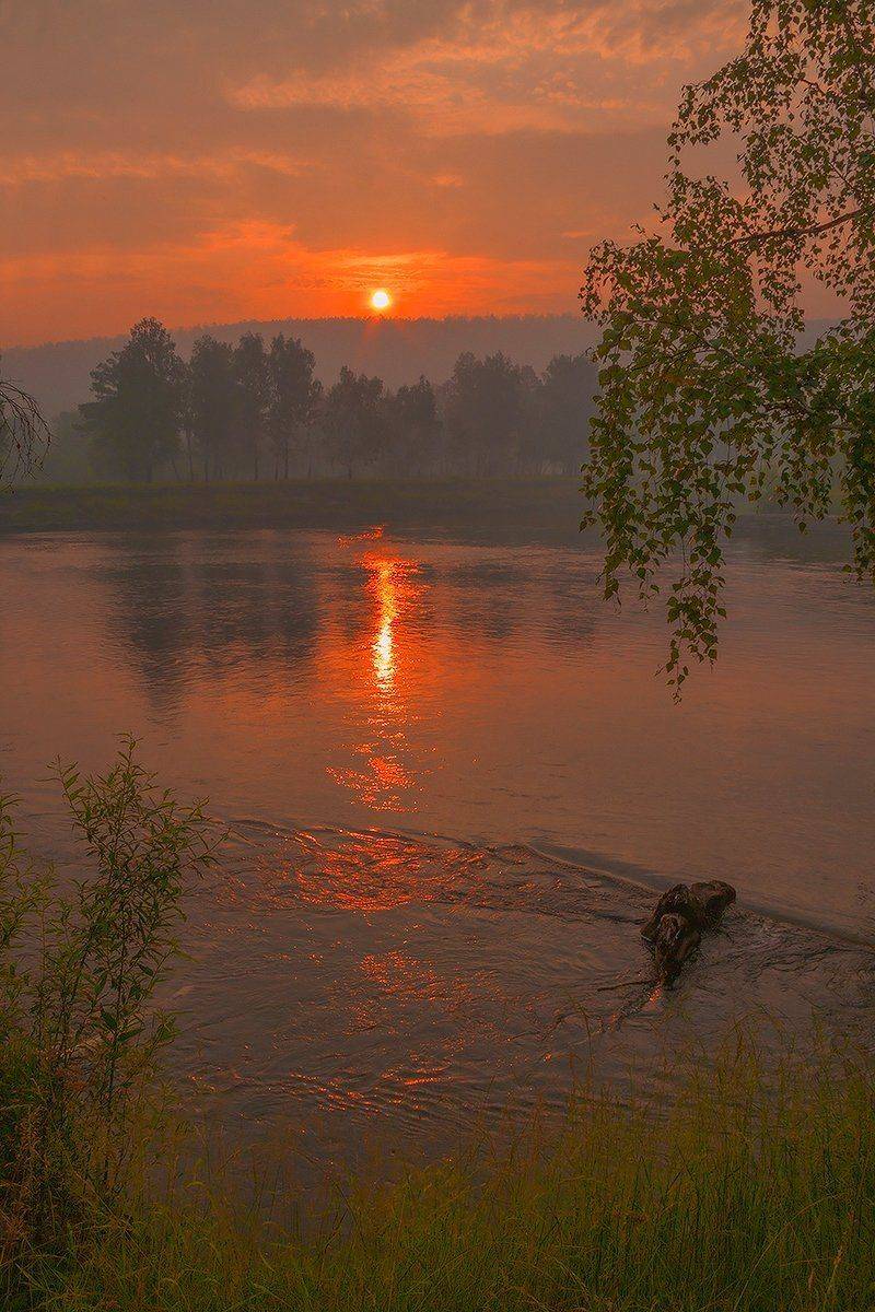 , Николай Морский