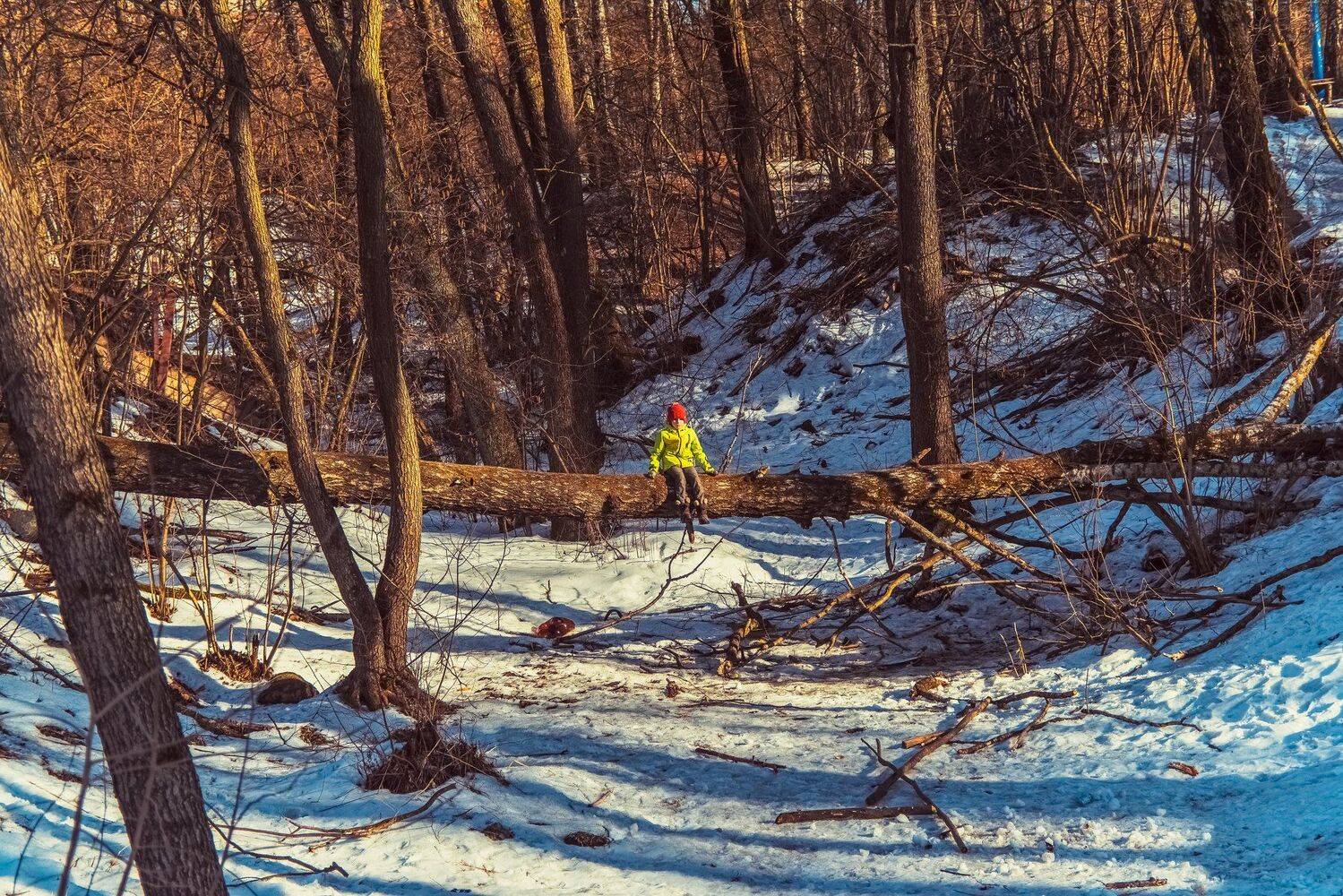 , Ирина Хромова