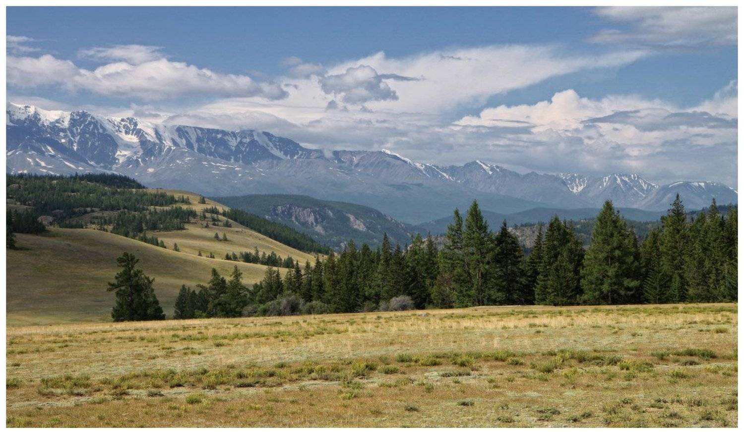 , Галина Хвостенко