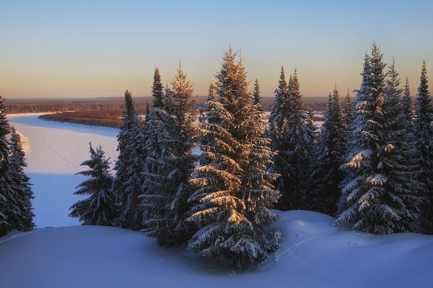 , Поташев Александр