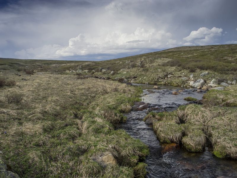 Алтай Горный Алтай. Плато Ештыколь. фото превью