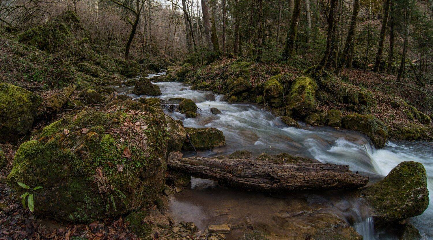 , Alexander Plekhanov