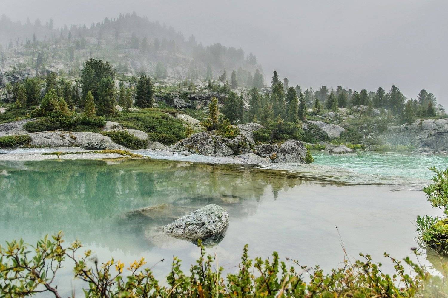 , Алексей Кретов