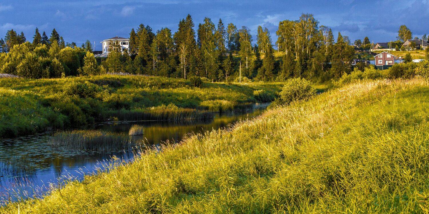 , Владимир Осауленко