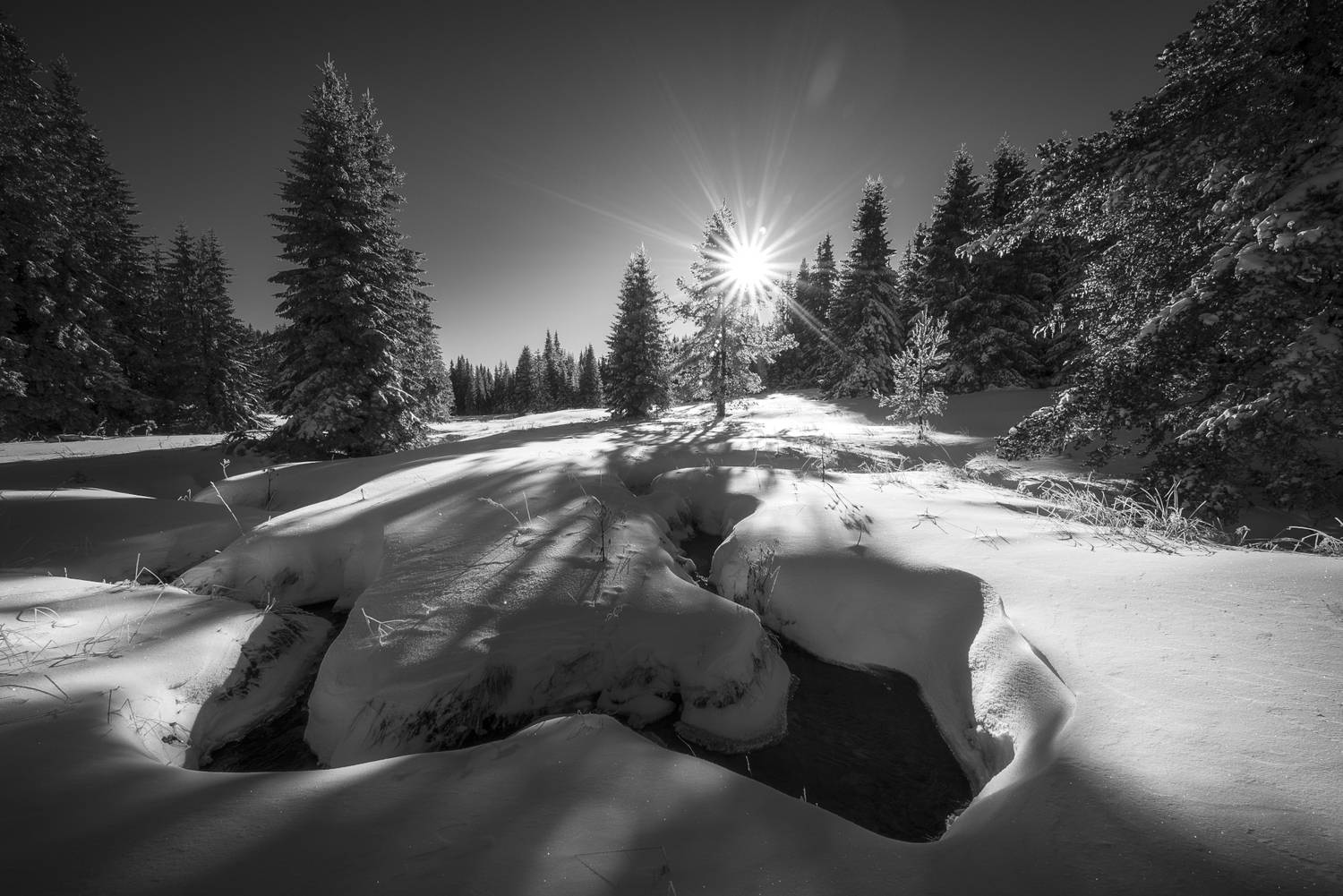 , Mariyana Atanasova - Lucero