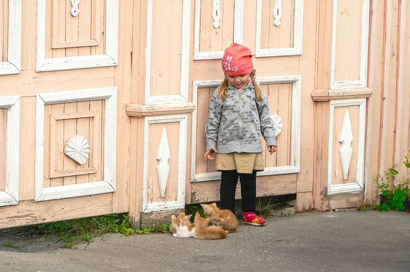 Рыжики фото превью