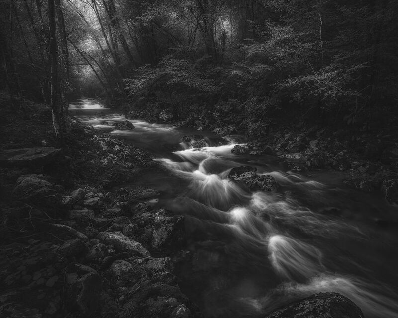 River of Shadows фото превью