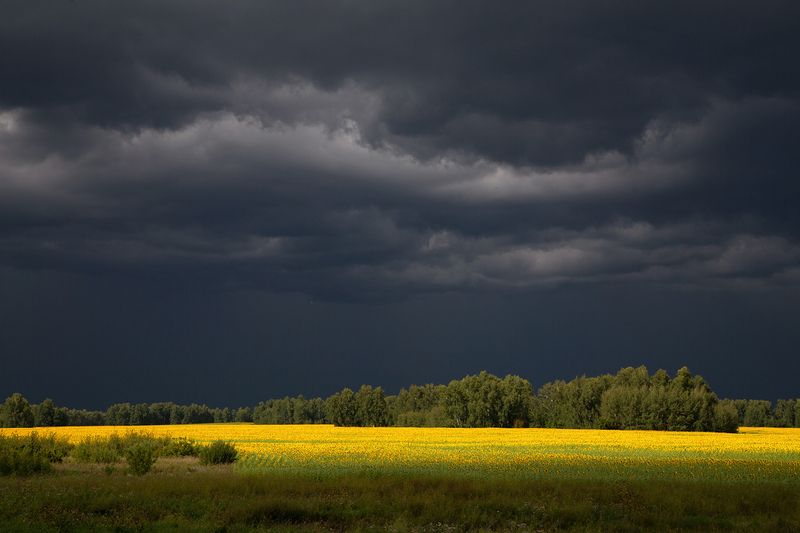 Август фото превью