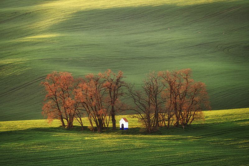 field,spring,  Sv.Barbora фото превью