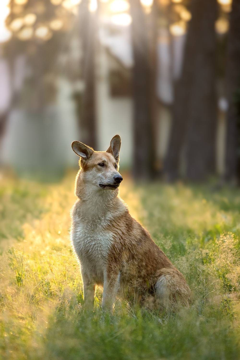 , Елена Самусенкова