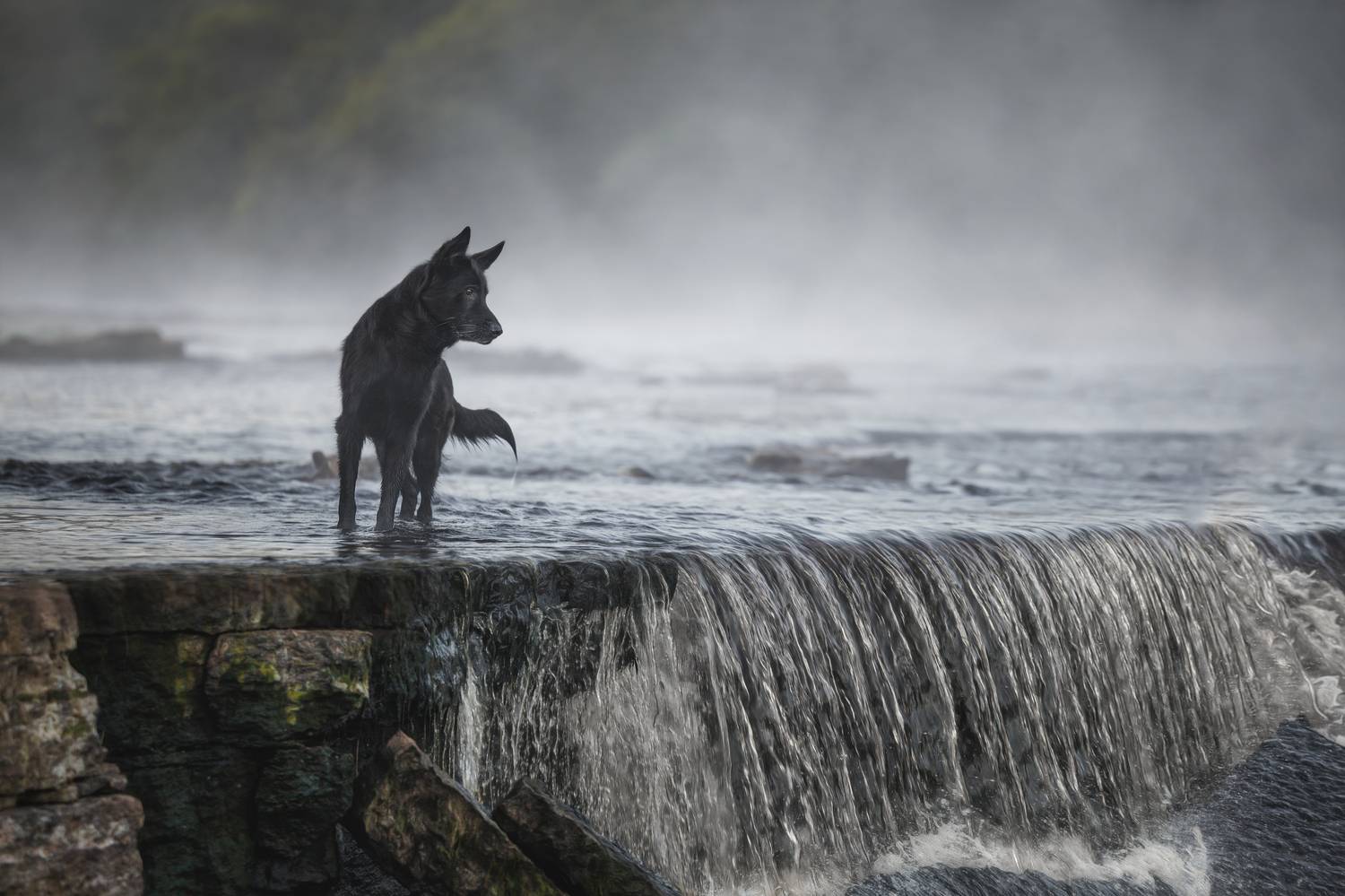 , Яна Нарбутович