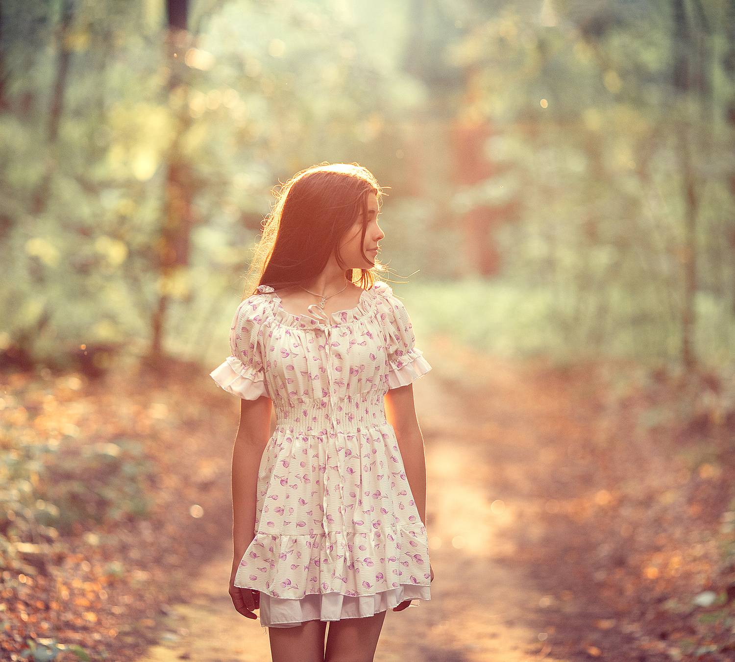 , Солнечный Александр