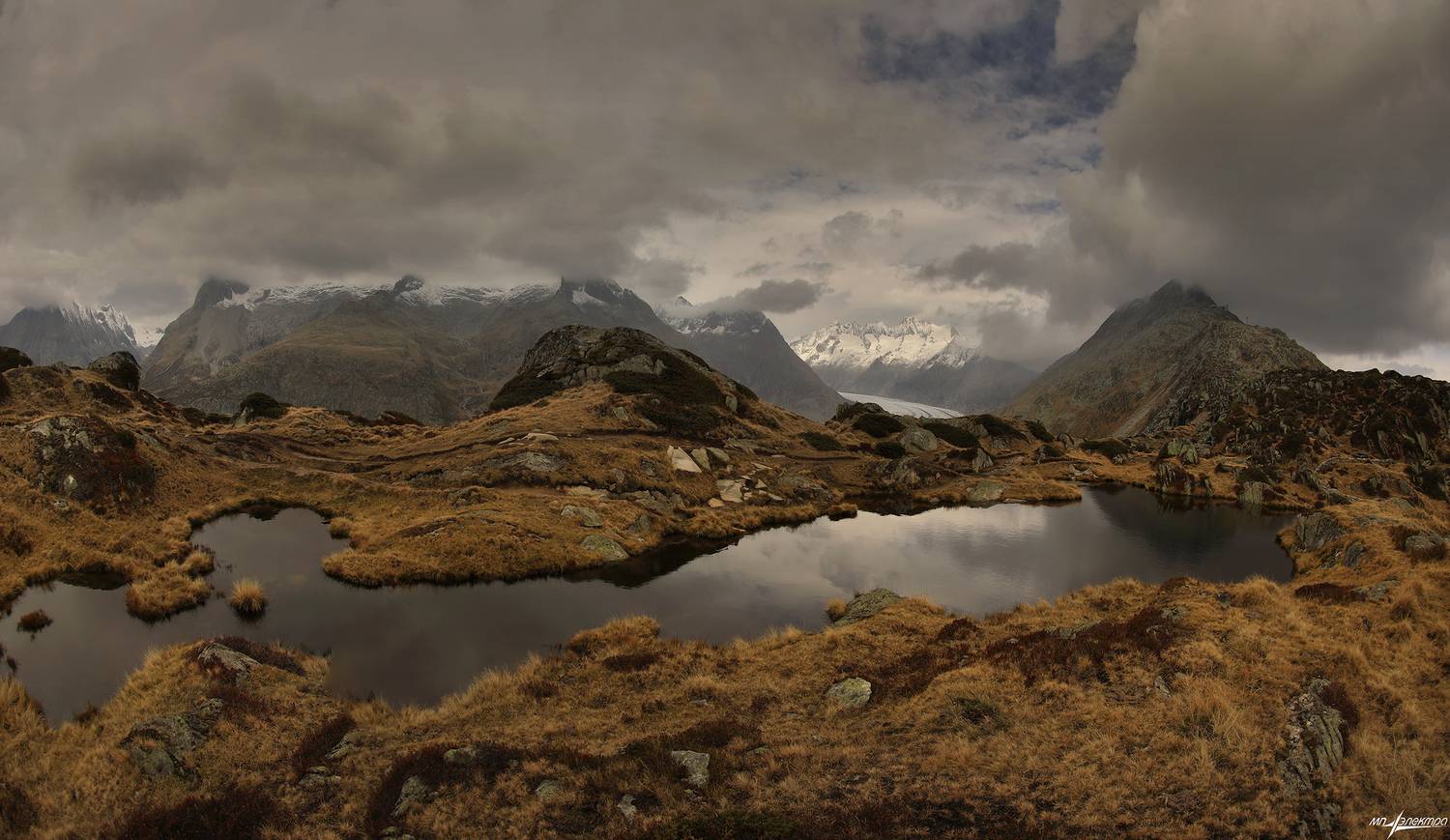 swiss, Матвеев Николай