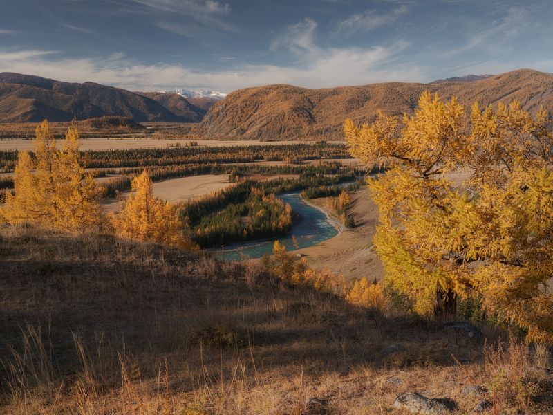 На берегах Аргута фото превью