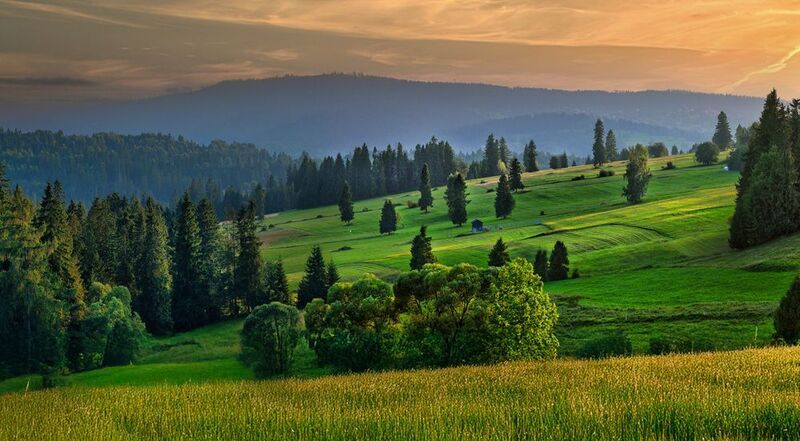 Fields of gold фото превью