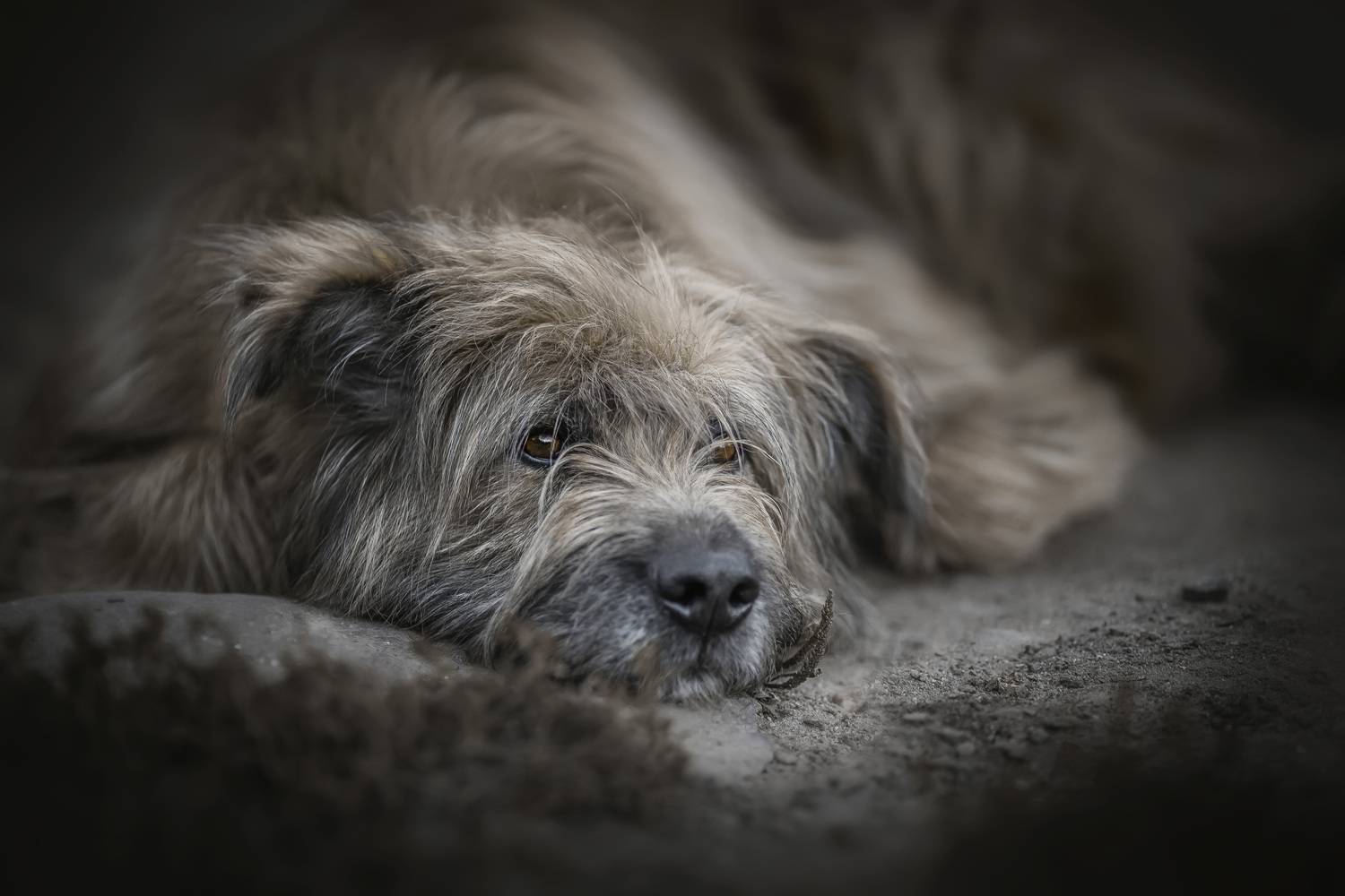 , Наталия Матвеева