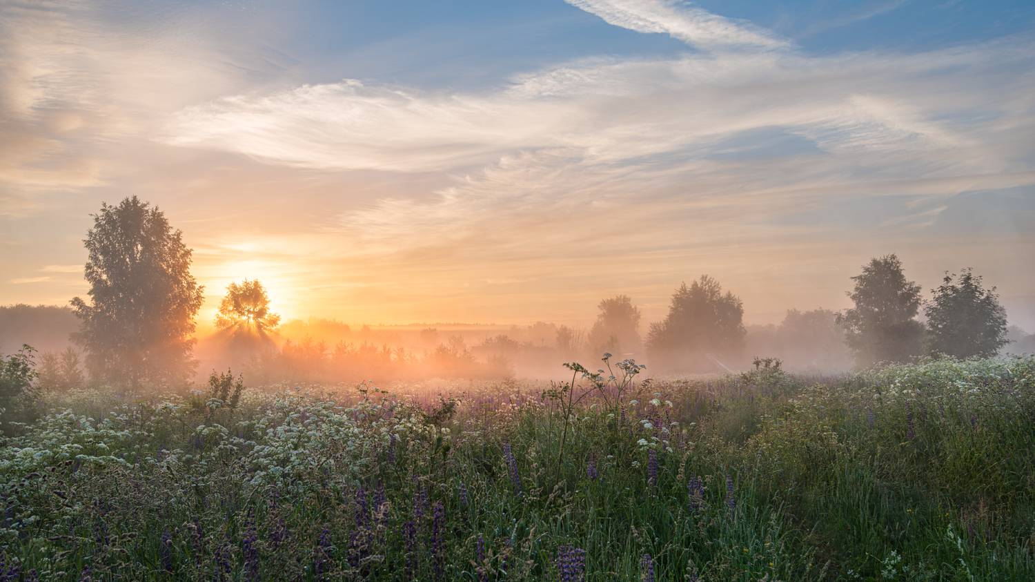 утро, туман, солнце, рассвет, облака, небо, лучи, краски, Виталий Полуэктов